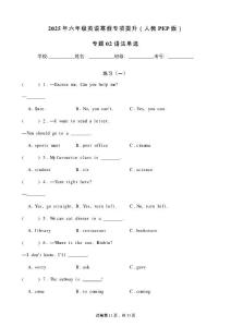 專題02 語法單選-2025年六年級英語寒假專項提升（人教PEP版）