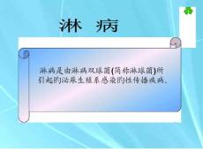 淋病专题知识讲座