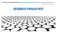 绒毛膜癌分子靶向治疗研究-剖析洞察