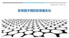 软骨因子调控软骨瘤生长-剖析洞察