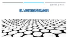 视力障碍康复辅助器具-剖析洞察