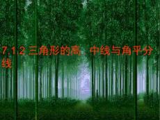 7.1.2三角形的高、中線、角平分線
