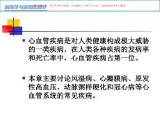 动脉粥样硬化课件