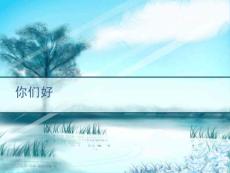 骨肿瘤分期-PPT