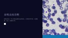 《血吸虫病诊断》课件