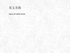 尺神经损伤课件