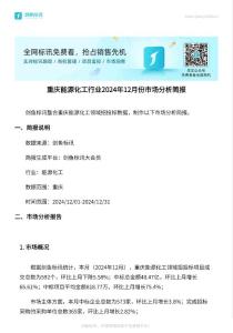 招標(biāo)采購結(jié)果：重慶能源化工行業(yè)分析報(bào)告-2024.12.01-2024.12.31中標(biāo)結(jié)果匯總