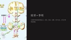 《眩晕 - 李明》课件