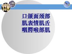 口颌面颈部肌表情肌舌咽腭喉部肌PPT优质课件