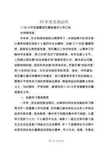 XX年黨支部總結