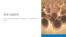 《伤寒与副伤寒》课件