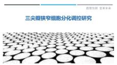 三尖瓣狭窄细胞分化调控研究-深度研究