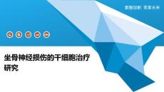 坐骨神经损伤的干细胞治疗研究-深度研究