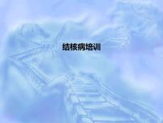 结核病培训