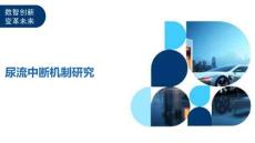 尿流中断机制研究-深度研究