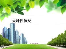 大叶性肺炎【27页】