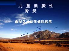 儿童紫癜性肾炎【59页】