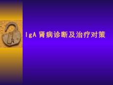 IgA肾病【58页】