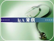 IgA肾病【45页】