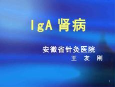 IgA肾病【36页】