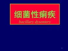 细菌性痢疾