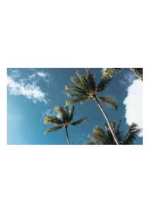 風景類 (37)