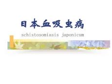 日本血吸虫病