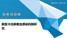 新型卡氏肺囊虫感染机制研究