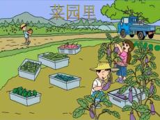 松江名校孫業(yè)芝學(xué)霸筆記解析