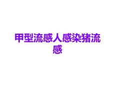 甲型流感人感染猪流感