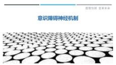 意识障碍神经机制