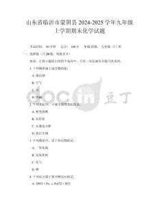 山东省临沂市蒙阴县2024-2025学年九年级上学期期末化学试题