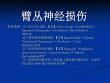 臂丛神经损伤ppt课件[精选]