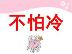 小班儿歌《不怕冷》PPT课件教案歌曲儿歌：不怕冷.pptx