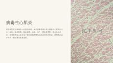《病毒性心肌炎》课件