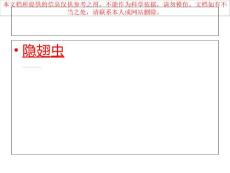 隐翅虫性皮炎培训课件