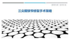 三尖瓣狭窄修复手术策略-详解洞察