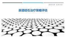 尿道结石治疗策略评估-详解洞察