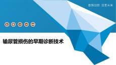 输尿管损伤的早期诊断技术-全面剖析