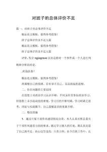 对班子的总体评价不足