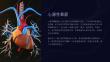 《心源性晕厥》课件