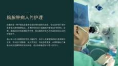 《脑脓肿病人的护理》课件