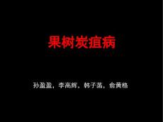 果树炭疽病