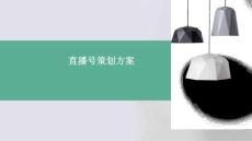 2025年直播號(hào)策劃方案