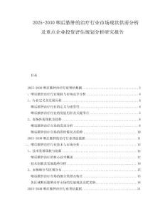 2025-2030咽后脓肿的治疗行业市场现状供需分析及重点企业投资评估规划分析研究报告