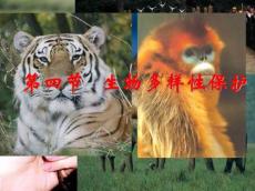 生物多样性保护_2022年学习资料