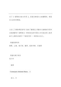 錐栗的功效與作用