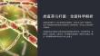 《炭疽芽孢杆菌》课件