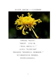 高山無語，深水無波 ——人生需要洞悟