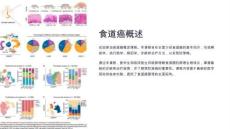 《食道癌概述》课件